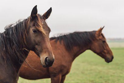 Distriktsveterinärerna Sunne en Värmland