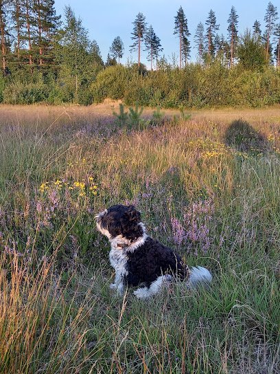 Arvika Smådjursklinik en Värmland