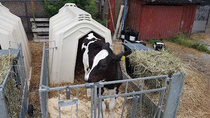 Älmhults veterinärklinik en {ciudadlocalidad}