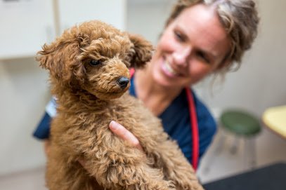 Älmhults veterinärklinik en {ciudadlocalidad}