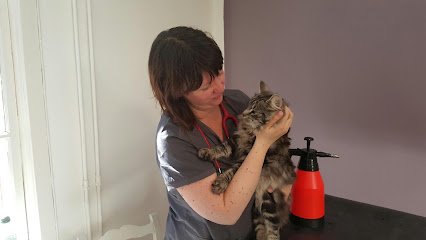 Veterinärkliniken Tusen och en katt Eksjö en Jönköping