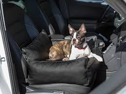 Hundbilstol och Transportlösningar för Ditt Husdjur