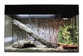 Lycklig Reptil Leopardgecko Startkit 80 cm - Högkvalitativt