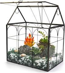 ZOOBAYA Stort Inomhusterrarium med Lock - Dekorativt Glasbehållare för Orkidéer och Suckulenter