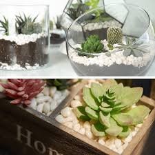Mini Vita Stenar 500g - Dekorativa Stenar för Akvarium och Trädgård
