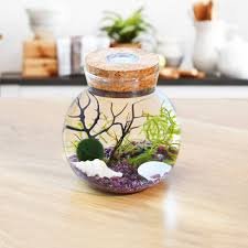 LED Akvariekit - Glaskula med Levande Mossboll