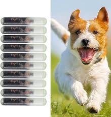 Husdjursmikrochip - 10 St Hund-ID Glas