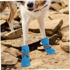 Reflekterande Hundskor - 4-pack Housoutil