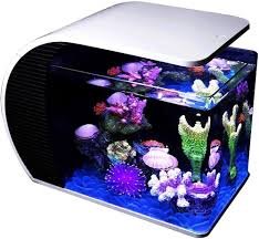 LED Glasakvarium Set 19L - Panorama Kurvat
