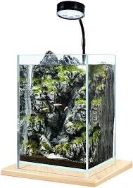 Mini Fisk Tank för Skrivbord - DIY Landskapsarkitektur