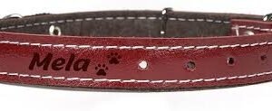 Personligt Läderhundhalsband med Namn och Telefonnummer - Röd