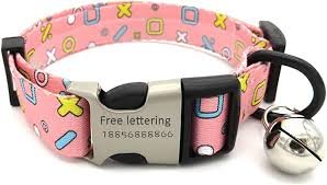 Personligt Hundhalsband med Namn
