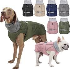 Varm och Reflekterande Hundjacka för Kallt Väder