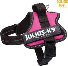 Julius-K9 K9 Power Sele för Hundar - Mini-Mini