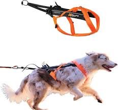 Non-stop dogwear Freemotion 5.0 - Justerbar Dragsele för Aktiva Hundar