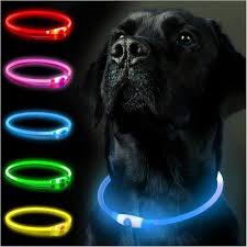 Uppladdningsbart LED-halsband för hundar