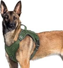 Rabbitgoo Anti-Drag Hundsele för Medelstora Hundar
