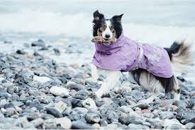 Hurtta Drizzle Regnjacka 45 - Skydda Din Hund mot Regnet