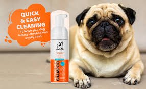 Hundschampo med Balsam - Anti-Klyfta