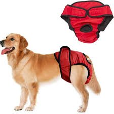 Hundblöjor för Hane och Hona - Hygienbyxor i Röd