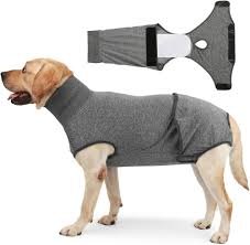 Heltäckande Hundblöja med Valpdesign