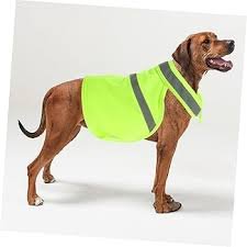 Fluorescerande Reflexväst för Hundar