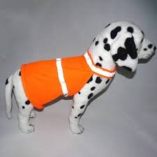 Fluorescerande Reflexväst för Hund - Orange