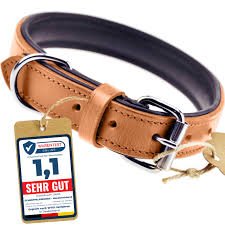 Läderhalsband för Hundar - Schnüffelfreunde (XL