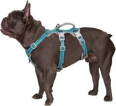 Huntboo Hundsele med Handtag