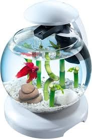 Tetra Vattenfall Boll Akvarium