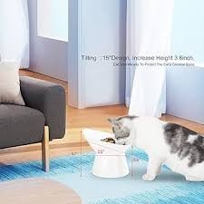 Upphöjd kattskål för liten hund – Halkfri & stilren design