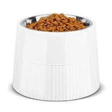Upphöjd hundskål med halkfri design