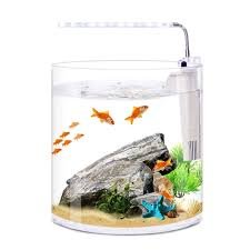 Kreativt Miniglasakvarium med LED-ljus - M